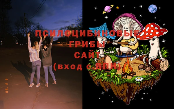 не бодяженный Арсеньев